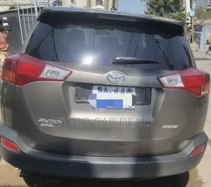 Toyota RAV4 2013 Brown