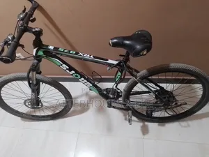 Mountain Bike Used