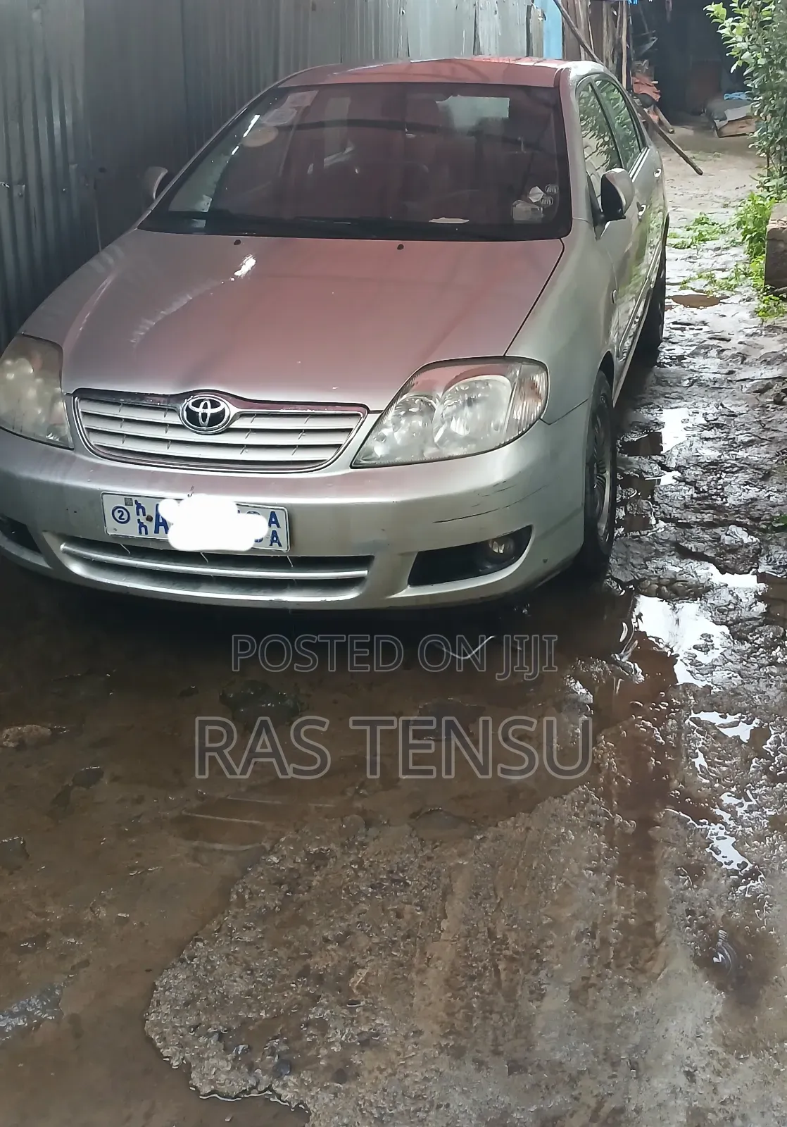 Toyota Corolla 2005 Gray