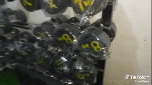 ከ 3 ኪሎ ጀመሮ ዳምፔሎች አሉን