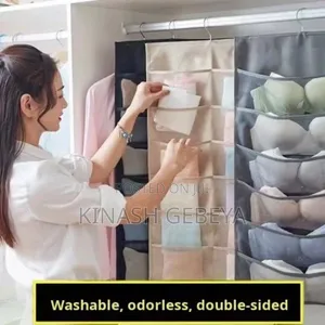 Ladies Underwear Organizer