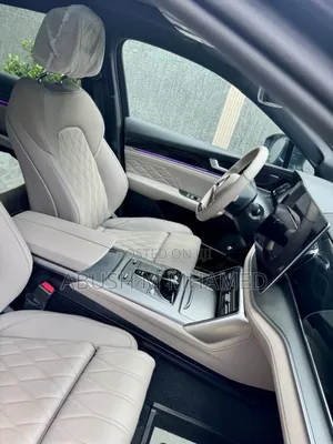 New BYD Tang EV 2024 Gray