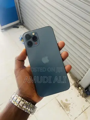 Photo - Apple iPhone 12 Pro Max 256 GB Blue