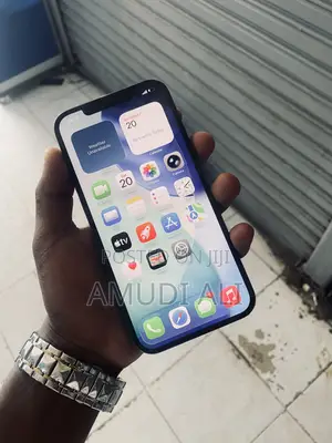 Apple iPhone 12 Pro Max 256 GB Blue