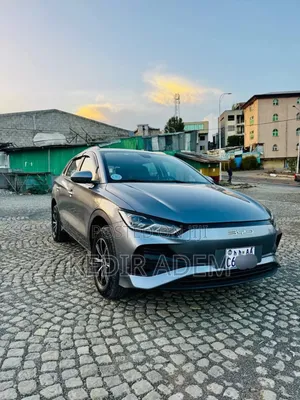 BYD E2 43 kWh 94 hp FWD 2024 Gray