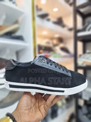 Photo - New Arrival Stefano Ricci Flat Sneakers Made in Italy