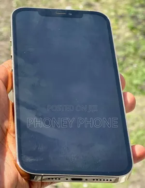 Apple iPhone 12 Pro Max 128 GB Gold