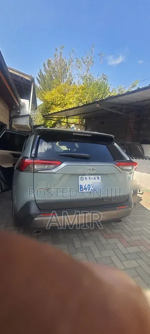 Toyota RAV4 2019 Blue