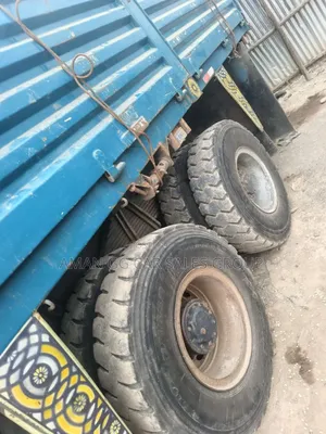 Cacion. 371. 2020. Model