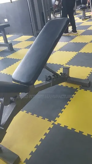 Modern Adjustable Gym Bench