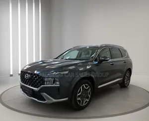 Hyundai Santa Fe 2024 Gray