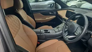 Hyundai Santa Fe 2024 Gray