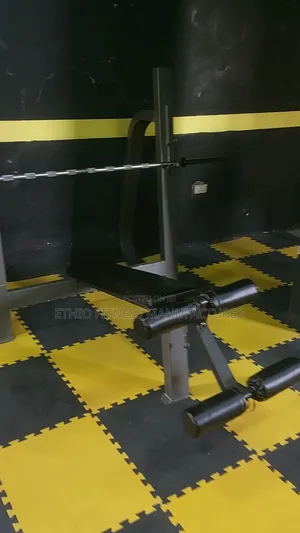 New Olympic Adjustable Bench for New Gym