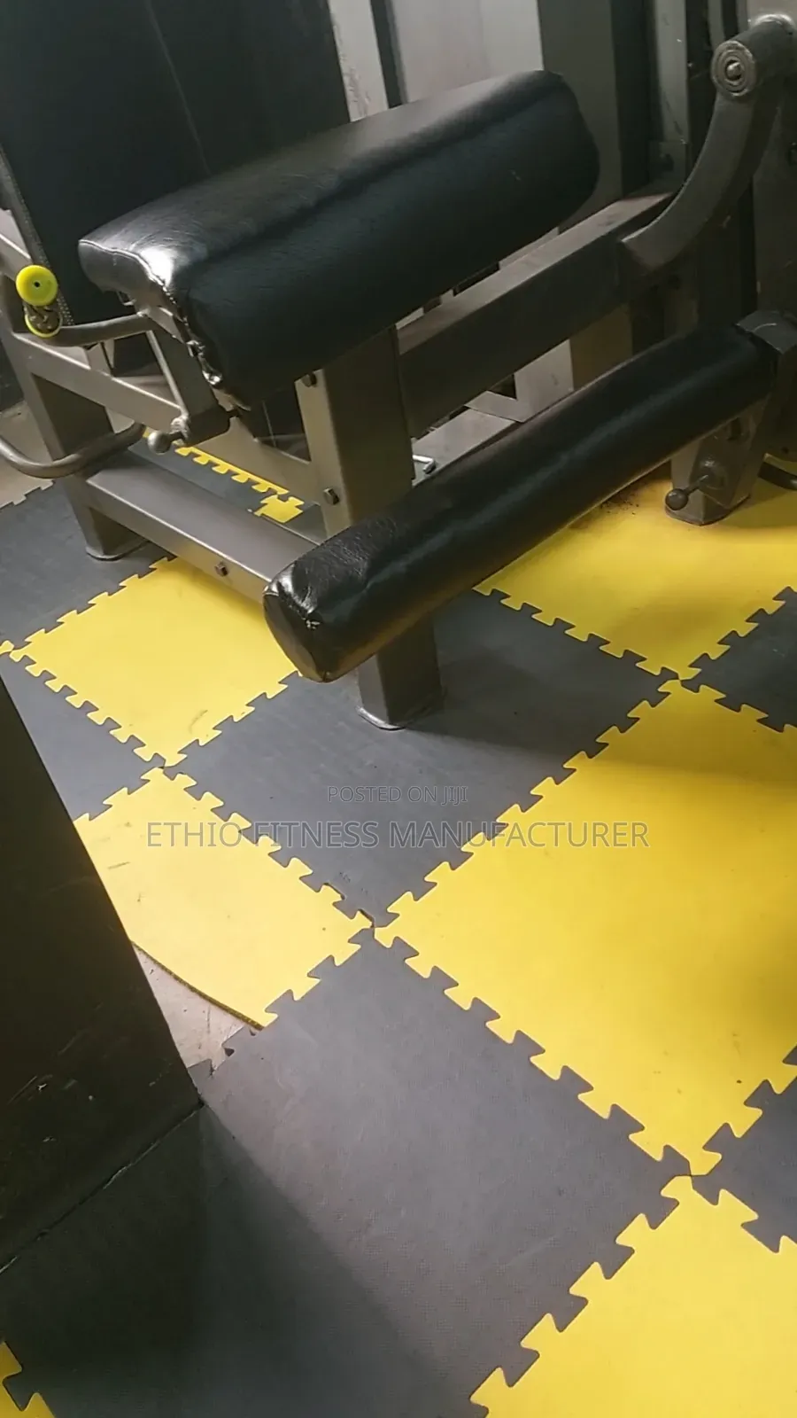 Premium Leg Extantion Machine