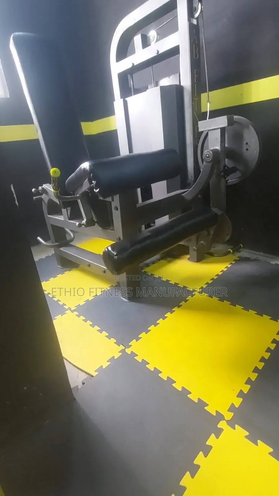 High Quality Leg Extension