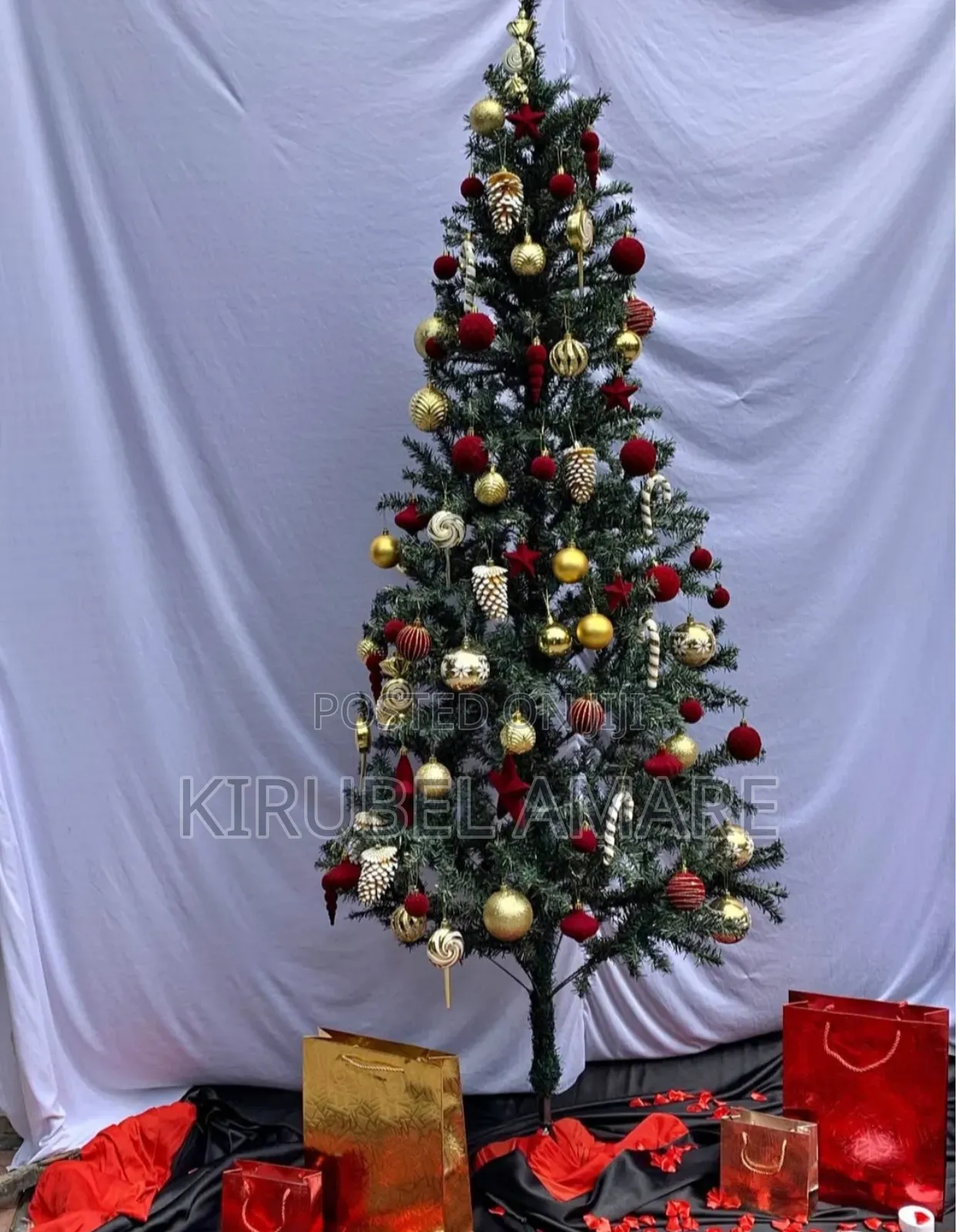 Pine Christmas Trees