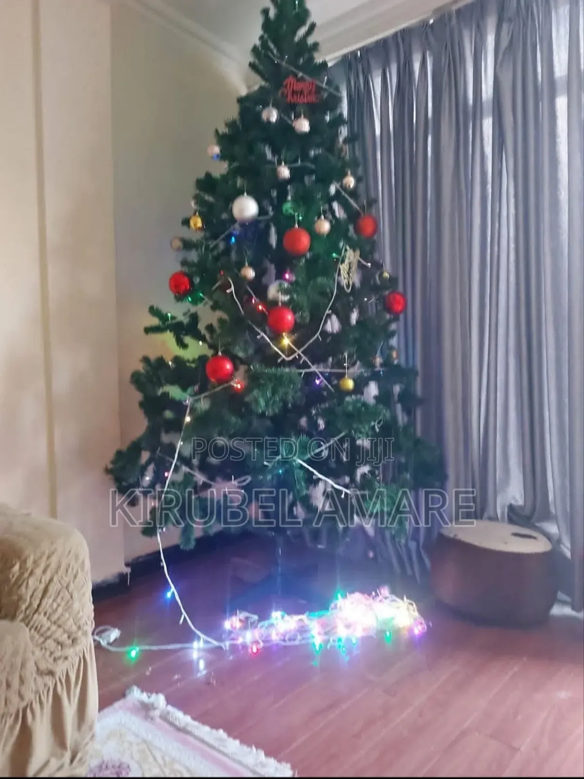 Pine Christmas Trees