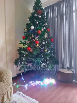 Pine Christmas Trees