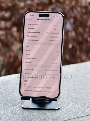 Apple iPhone 16 Pro Max 256 GB Gray