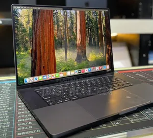 New Laptop Apple MacBook Pro 48GB Apple M4 SSD 2T