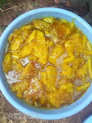 ንፁህ የጎጃም ማር ፈላጊዎች ደውሉልኝ