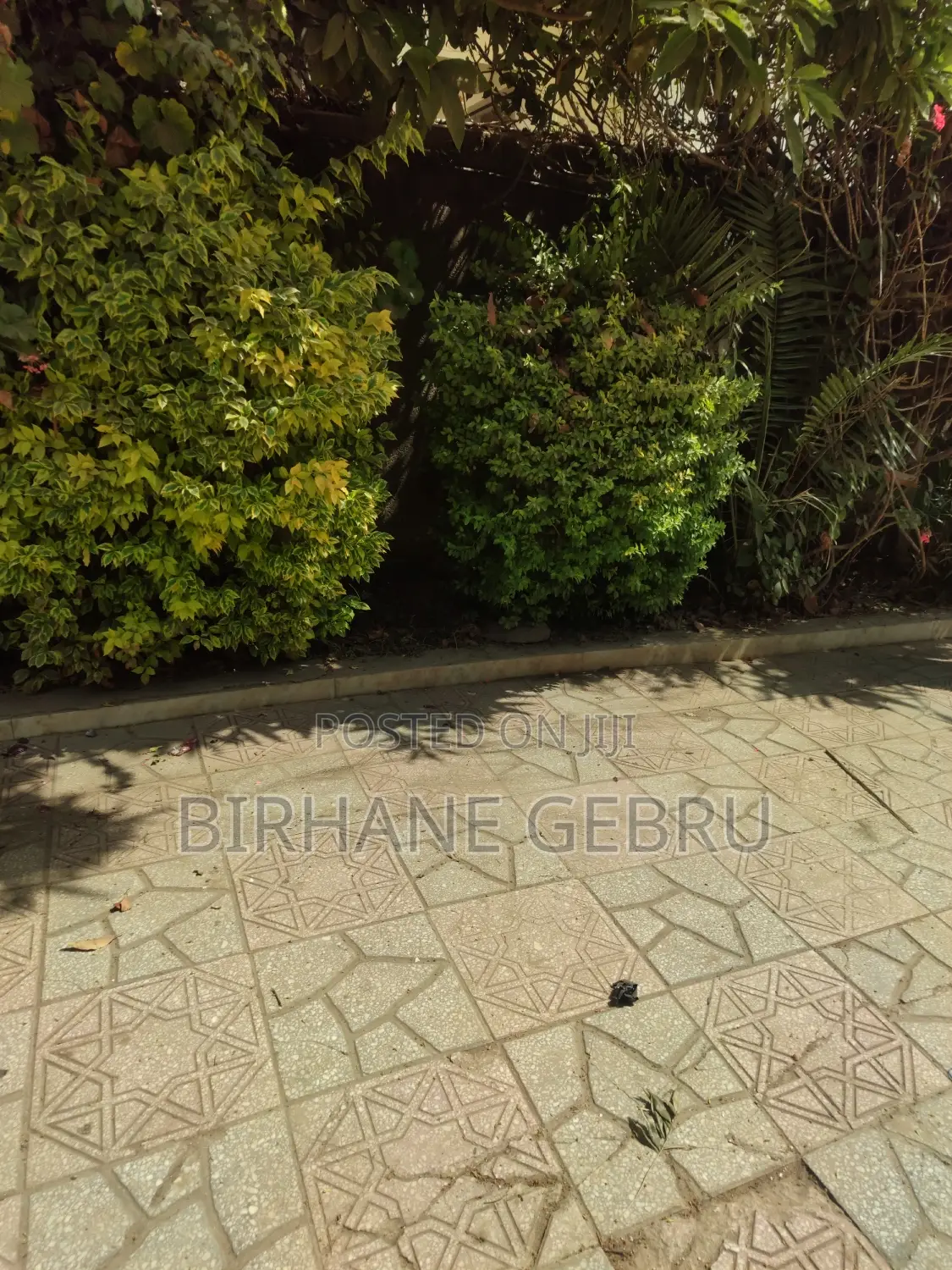 G+2 House Rent for Hotel or Living