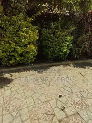 G+2 House Rent for Hotel or Living