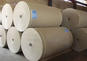 Paper Bag Paper in Bulk