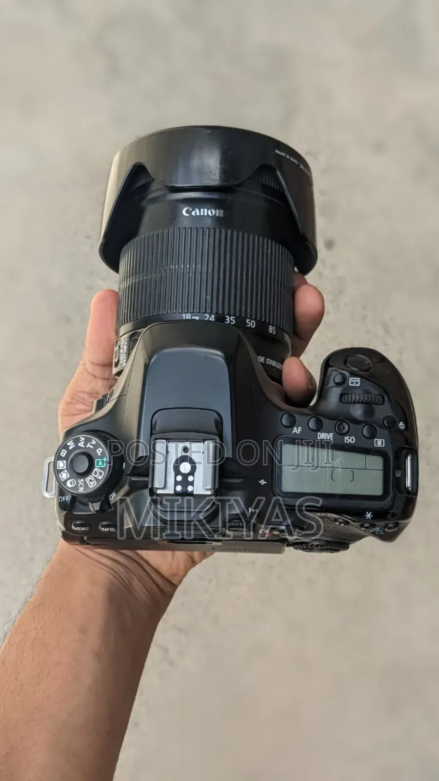 Canon 80d With Canon 18-135mm Lens