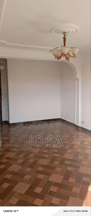 3bdrm Condo in Bole for rent
