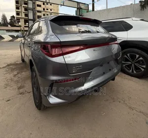 New BYD E2 43 kWh 94 hp FWD 2024 Gray