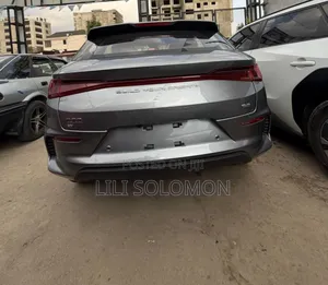 New BYD E2 43 kWh 94 hp FWD 2024 Gray