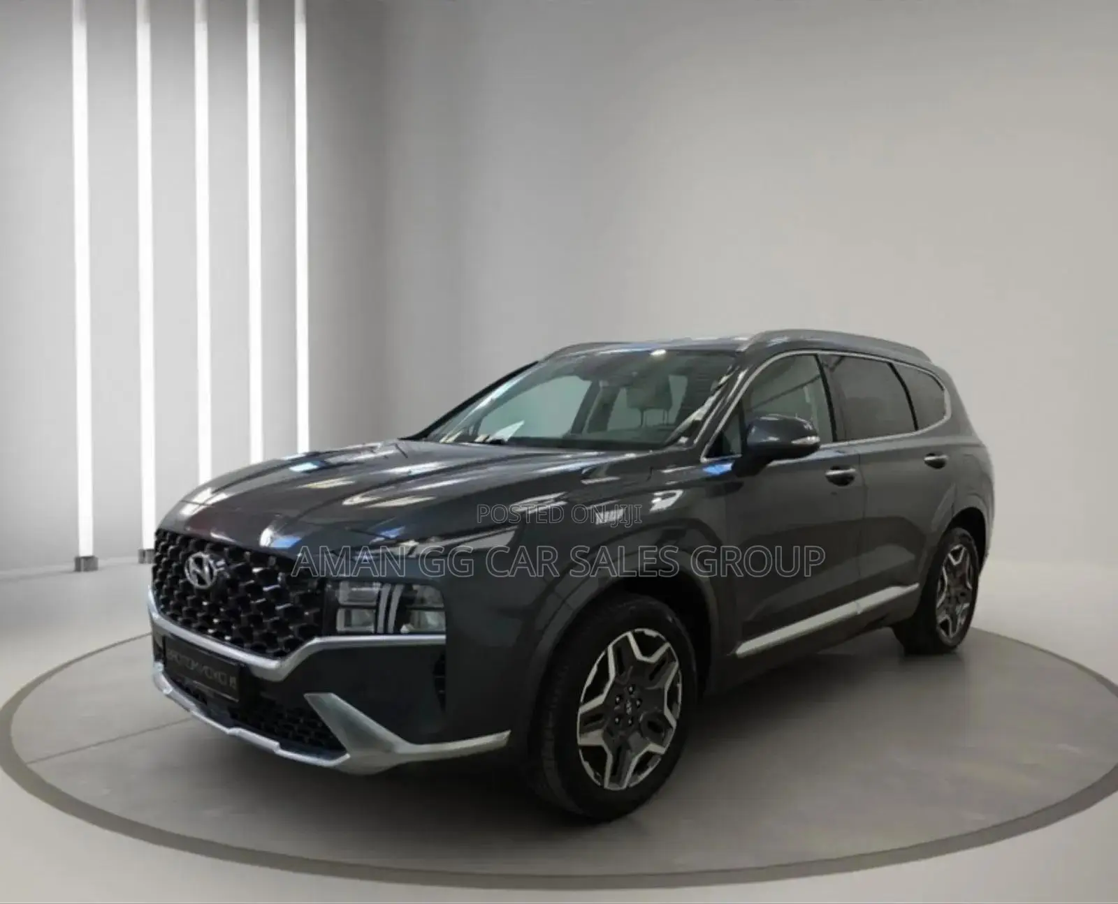 Hyundai Santa Fe 2024 Gray