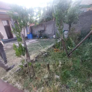 2bdrm House in Oromia, East Shewa for rent