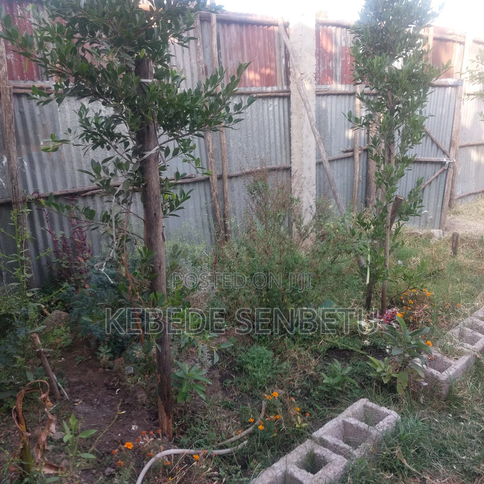 2bdrm House in Oromia, East Shewa for rent