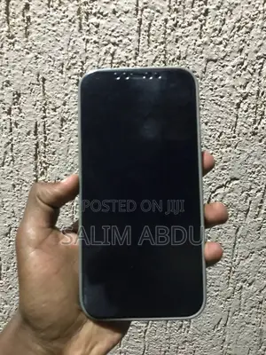 Apple iPhone 12 Pro Max 256 GB Blue