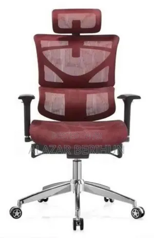 Full Mesh Managerial Ergonomic Office Chair
