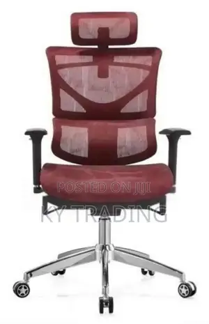 Full Mesh Managerial Ergonomic Office Chair