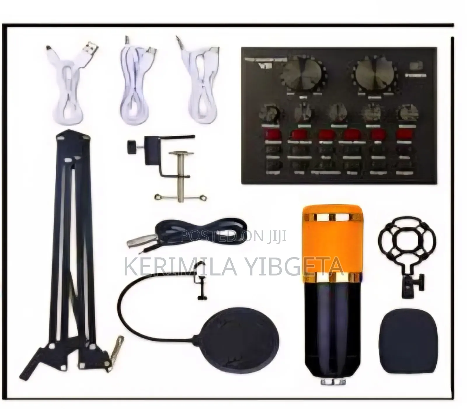 Pro Condenser Microphone