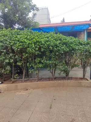 G+2 House Rent for Office