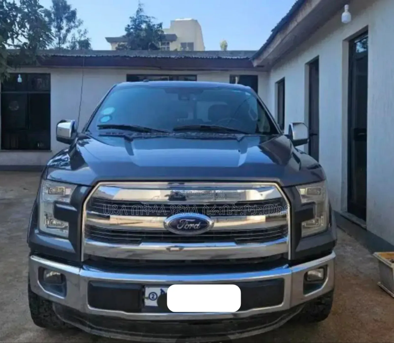 Ford F-150 2016 Beige