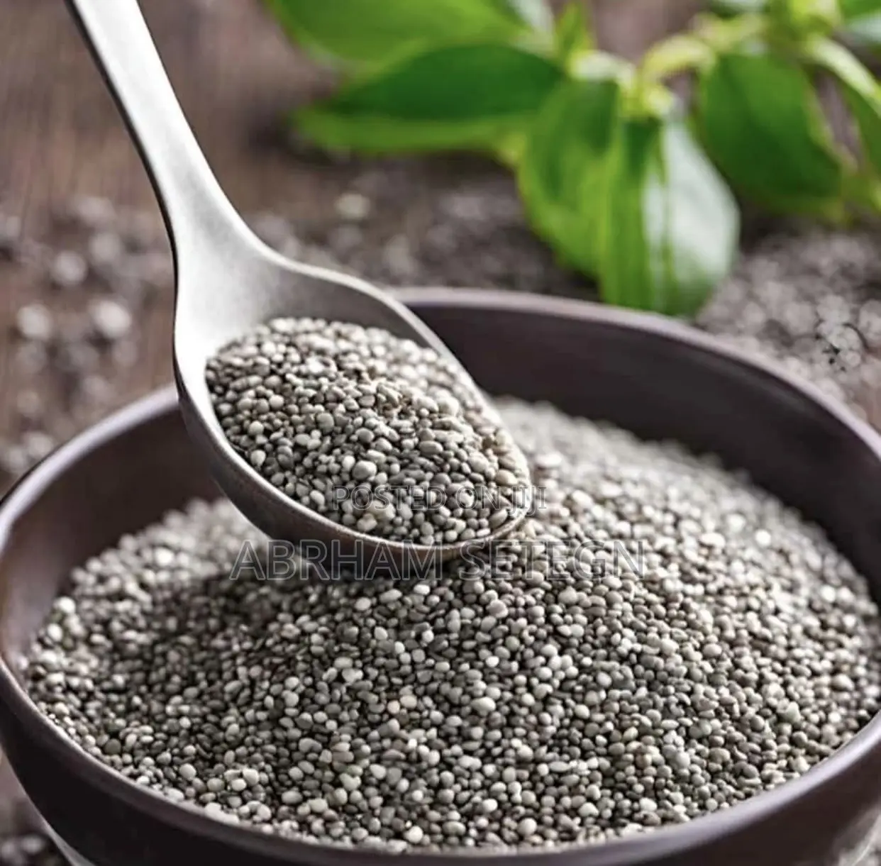 ቺያ ሲድ ( Chia Seeds)