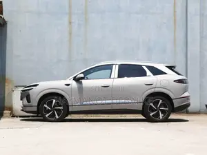 New BYD Song Plus 2025 Gray