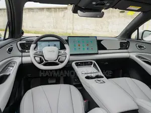 New BYD Song Plus 2025 Gray