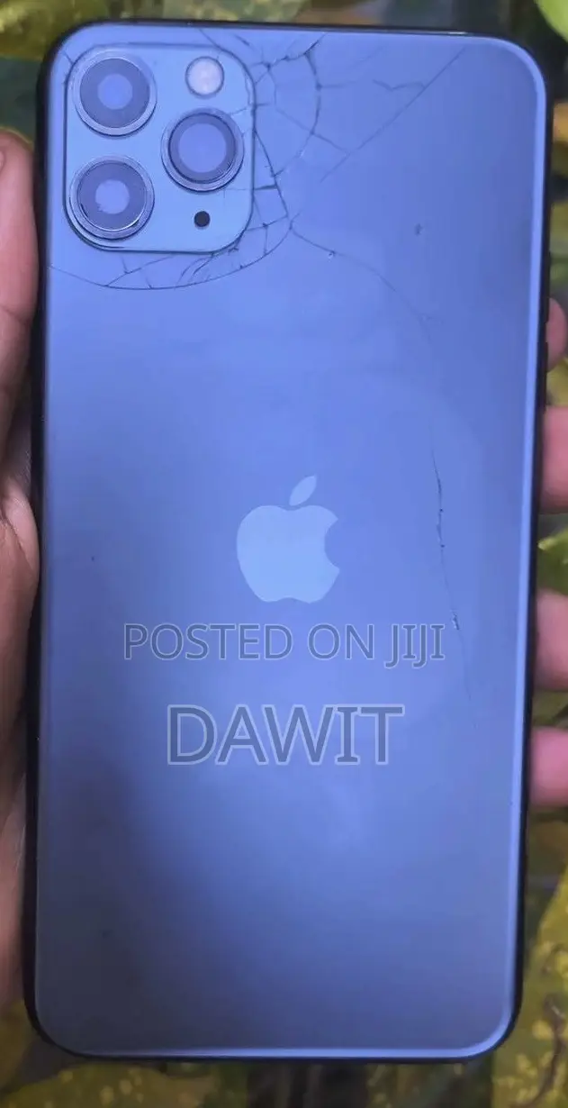 Apple iPhone 11 Pro Max 256 GB Green