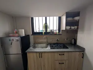 Furnished 1bdrm Apartment in Bole for rent