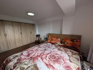 Furnished 1bdrm Apartment in Bole for rent