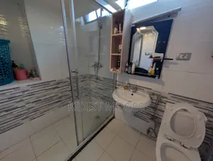 Furnished 1bdrm Apartment in Bole for rent