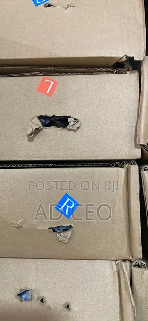 Dolphin Parking Lamp