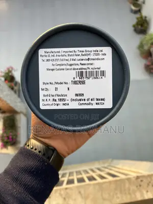 Original Timex Watch